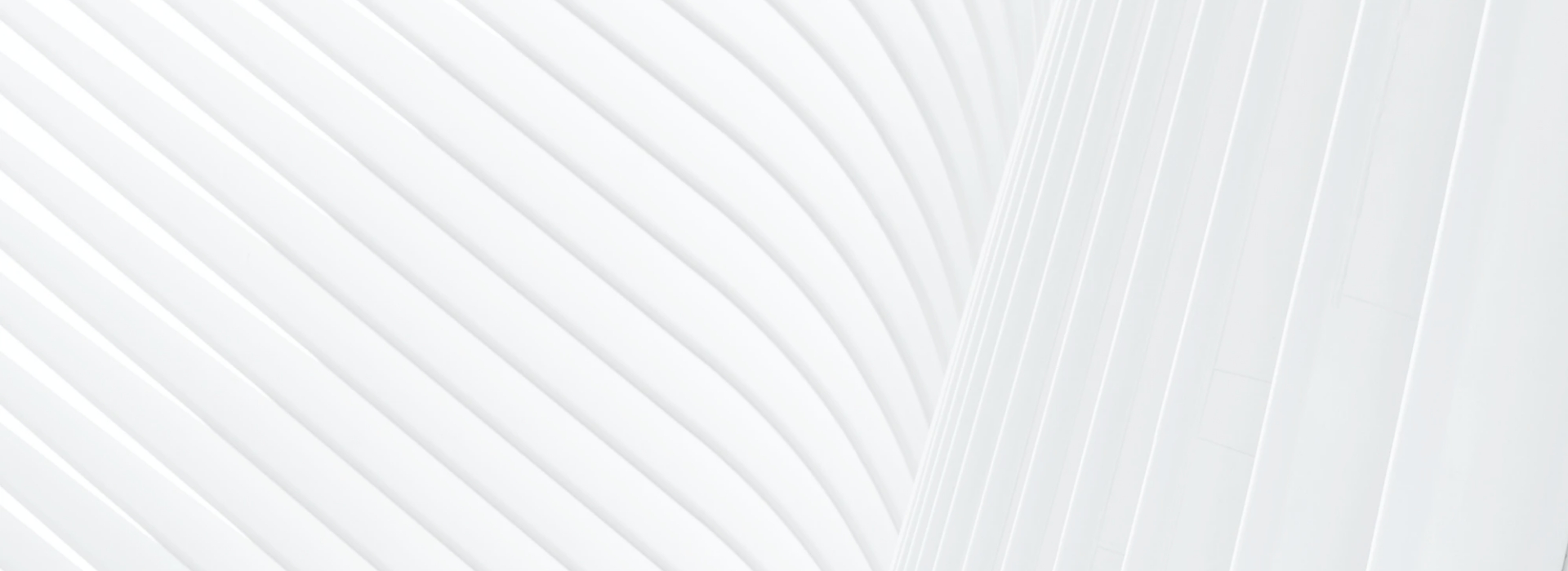banner-02